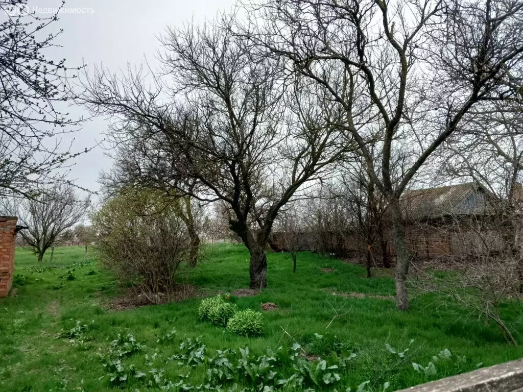 Участок в Глафировка, улица Кирова (21 м) - Фото 1