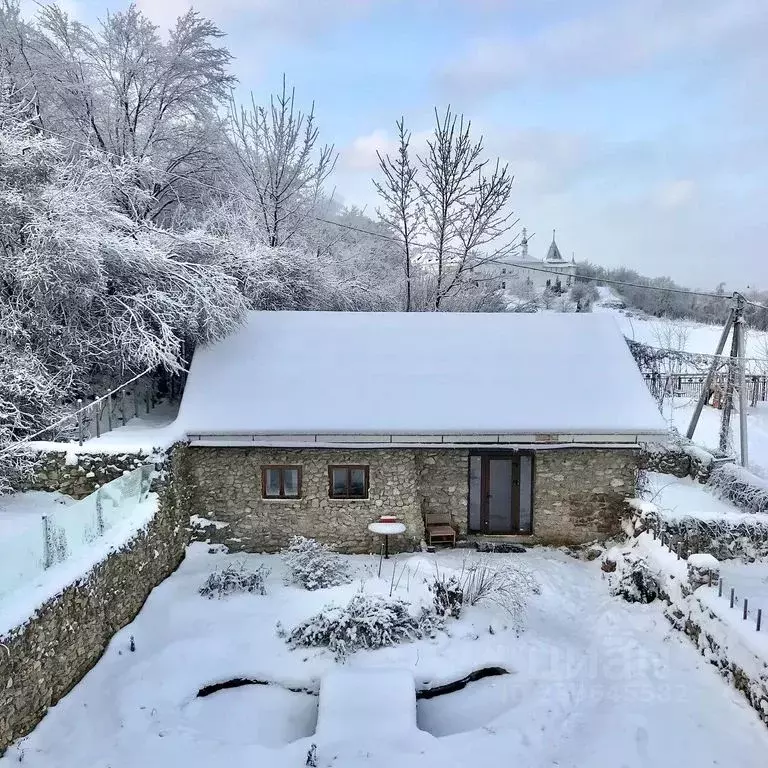 Дом в Нижегородская область, Нижний Новгород Печеры сл., 22 (70 м) - Фото 0