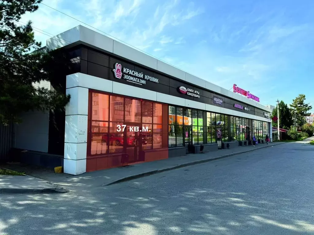 Торговая площадь в Новосибирская область, Новосибирск ул. 2-я Марата, ... - Фото 1