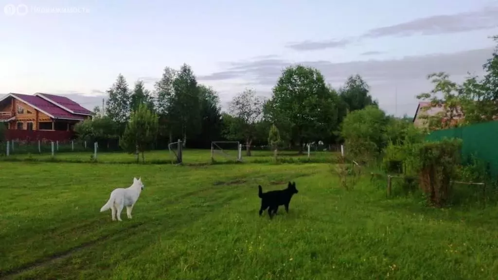 Участок в Никифорово, Советская улица, 34 (22 м) - Фото 1