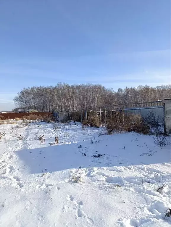 Участок в Омская область, Омский район, Пушкинское с/пос, д. Ракитинка ... - Фото 1