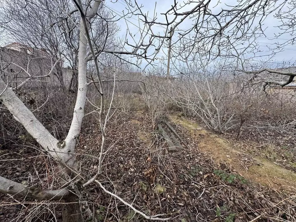 Участок в Севастополь Маяк-1 садовое товарищество, 276 (7.6 сот.) - Фото 1