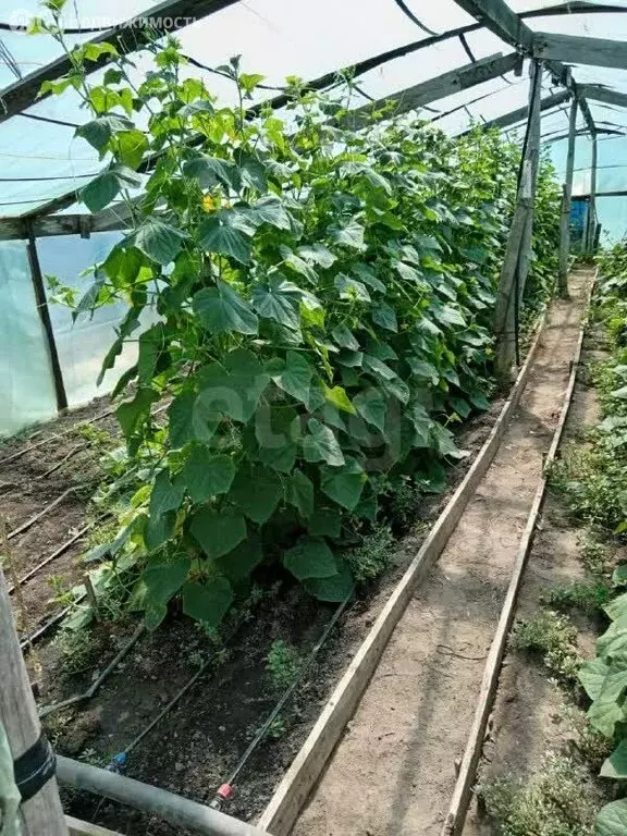 Дом в село Песчанокопское, улица Карла Маркса (47.4 м) - Фото 1