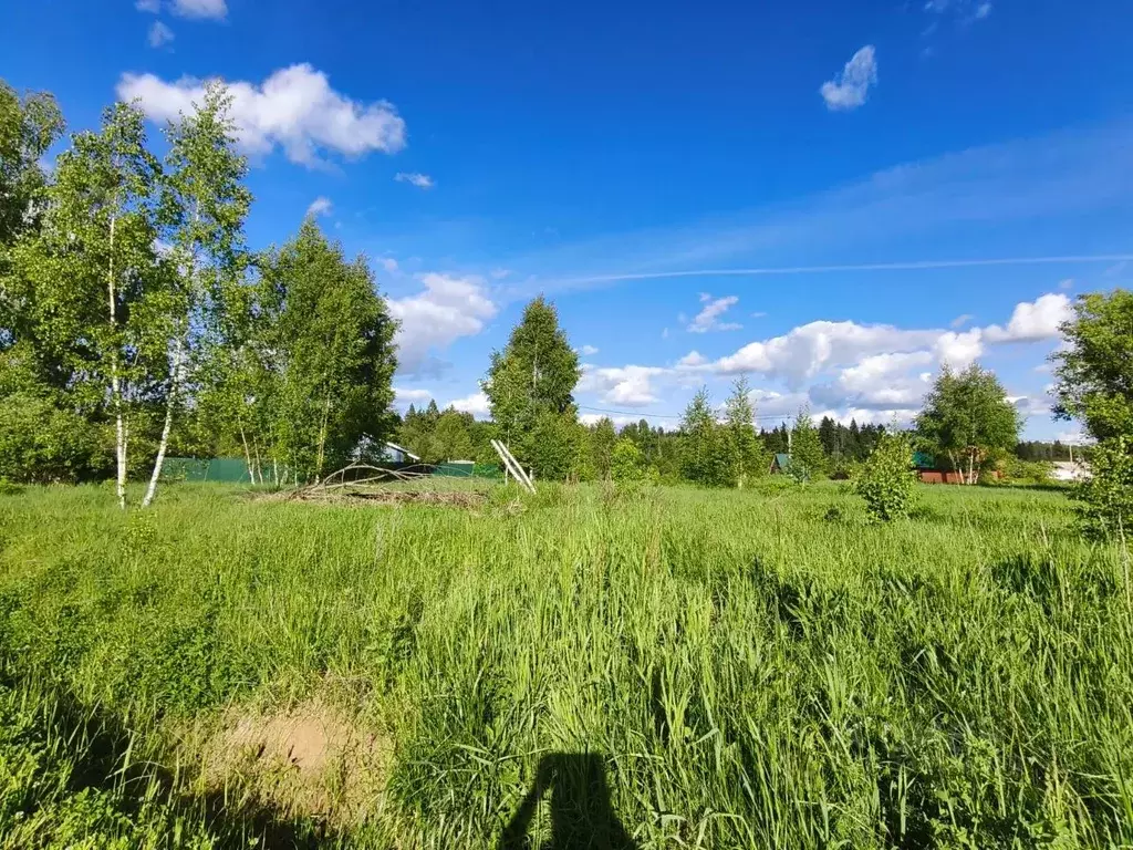 Участок в Московская область, Талдомский городской округ, с. ... - Фото 1