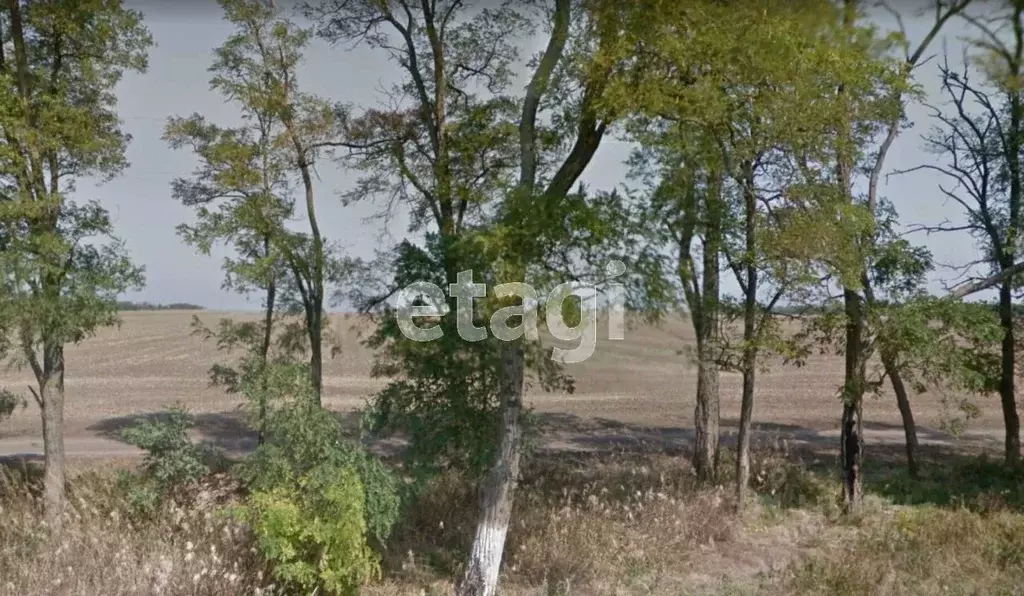 Участок в Краснодарский край, Ейский район, Должанская ст-ца  (168.0 ... - Фото 1