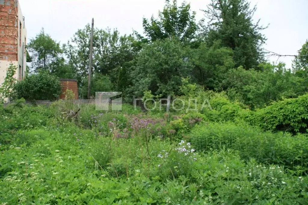 Участок в Московская область, Одинцовский городской округ, д. Щедрино ... - Фото 0