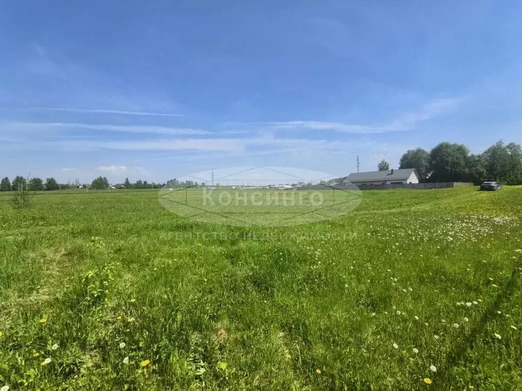 Продается участок в д. Новгородово - Фото 2