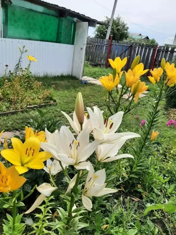 Дом в Самарская область, Волжский район, Смышляевка городское ... - Фото 2