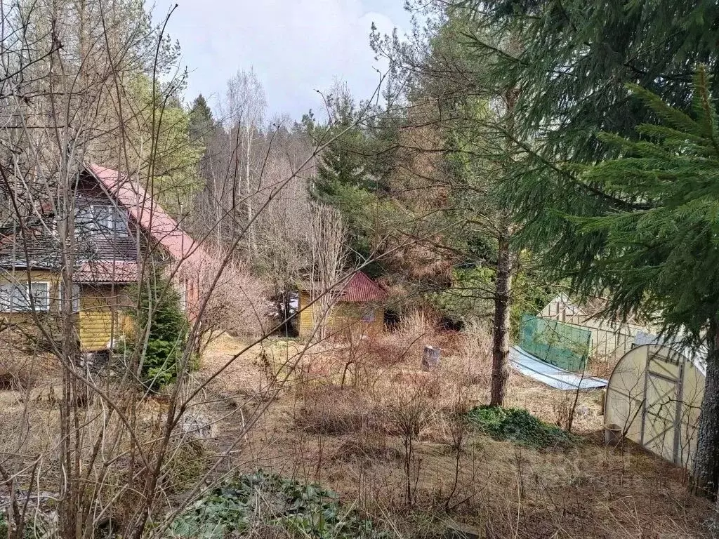 Дом в Ленинградская область, Выборгский район, Первомайское с/пос, ... - Фото 1