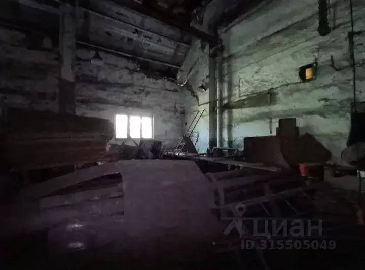 Помещение свободного назначения в Новосибирская область, Новосибирск ... - Фото 1