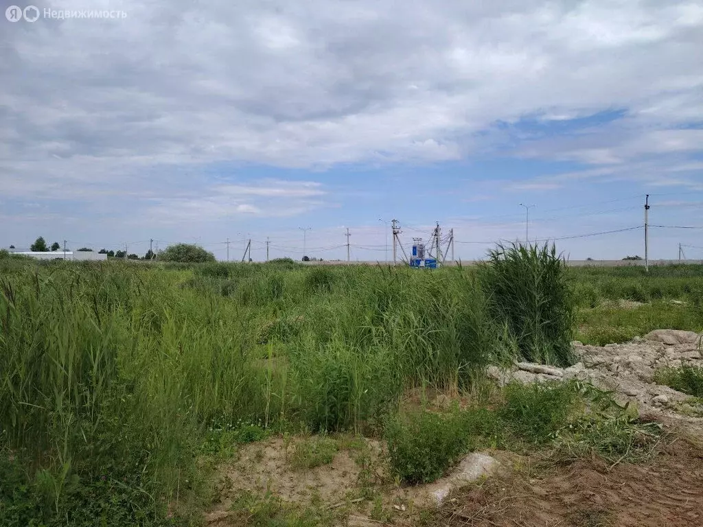 Участок в Тюмень, Центральный округ (12 м) - Фото 0