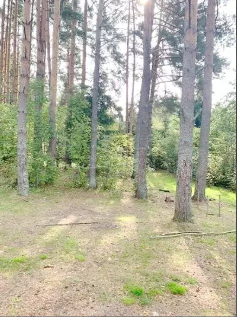 Участок 19,96 га (СНТ, ДНП) - Фото 1