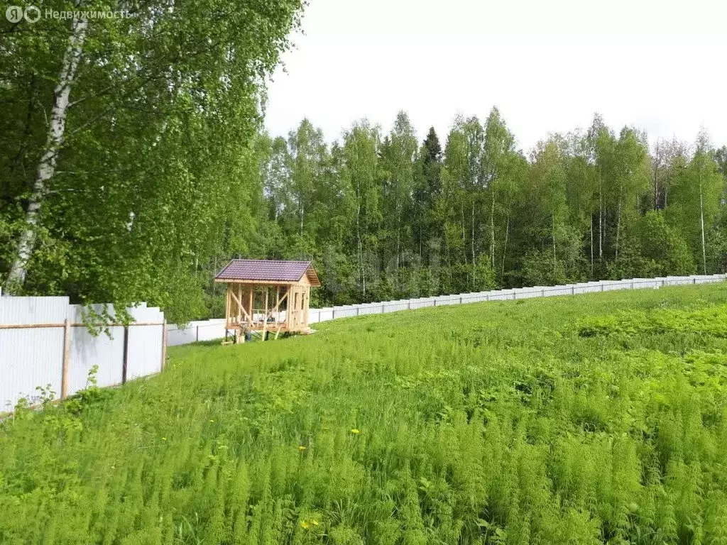 Участок в Пермский муниципальный округ, деревня Карасье, ДПК Радужное ... - Фото 2