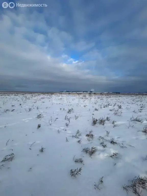 Участок в Эхирит-Булагатский район, автодорога Иркутск - Качуг, 71-й ... - Фото 0