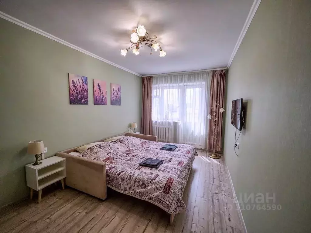 1-к кв. Псковская область, Псков Советская ул., 77А (30.0 м) - Фото 1