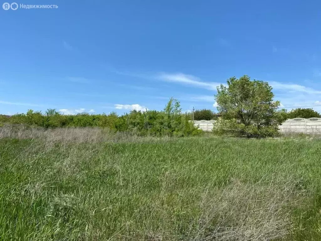 Участок в Ростов-на-Дону, садовое товарищество Садовод-Любитель, 1-й ... - Фото 1