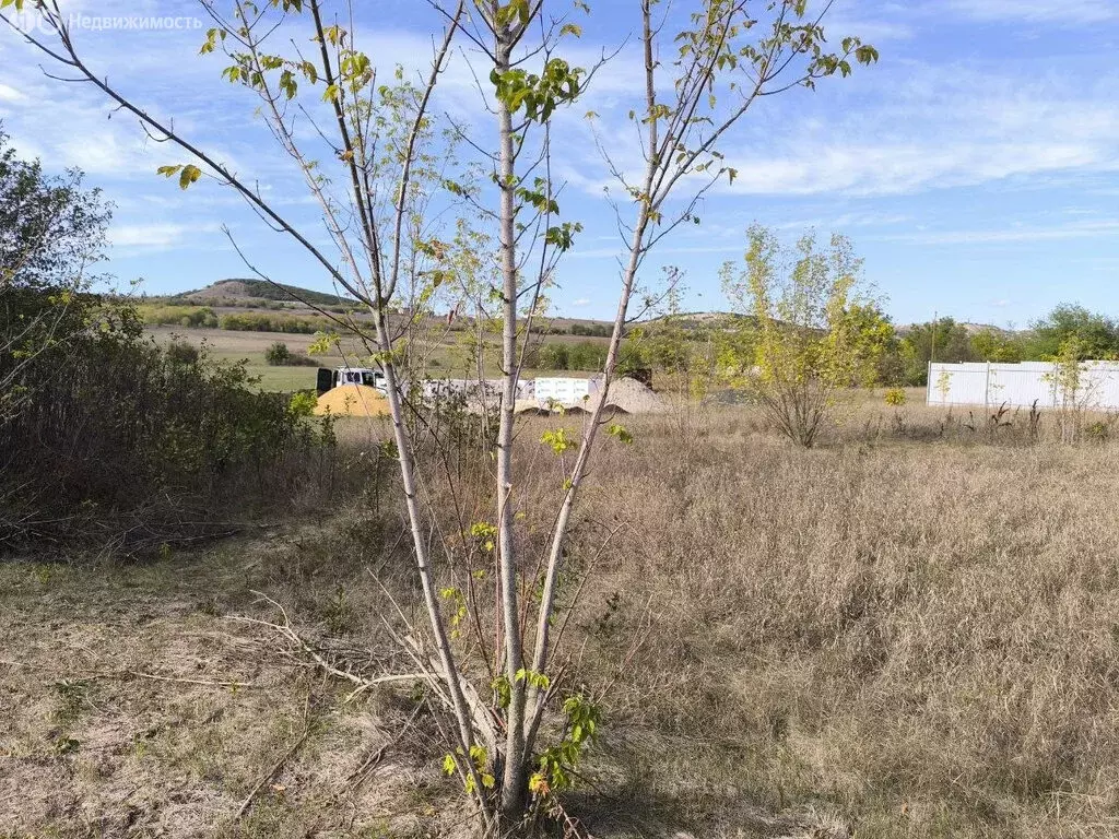 Участок в Перовское сельское поселение, СТ Рино (11 м) - Фото 2
