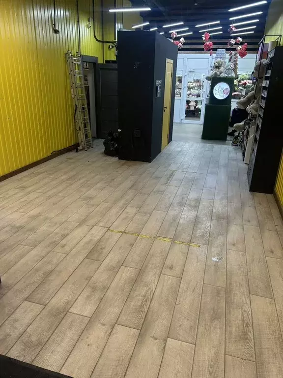 Помещение свободного назначения в Санкт-Петербург Комендантский ... - Фото 2