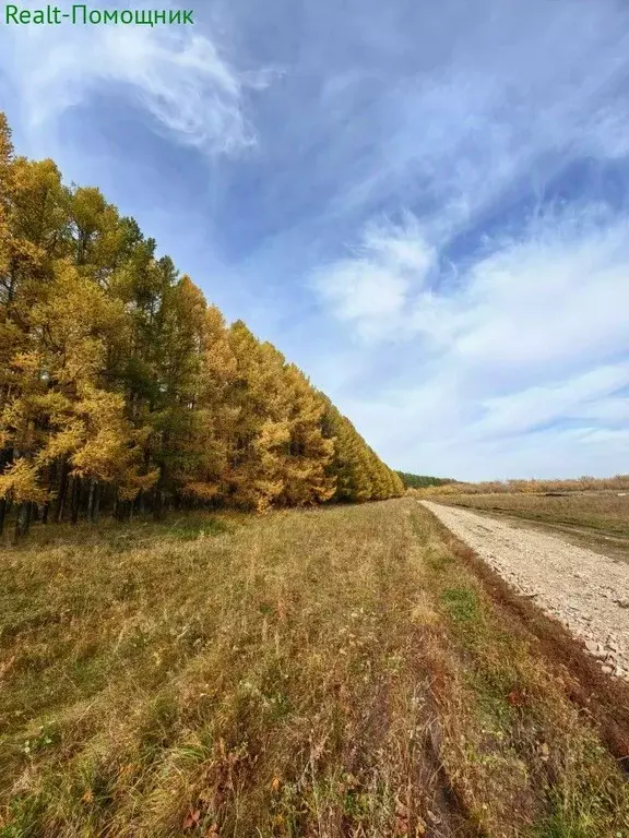 Участок в Башкортостан, Стерлитамакский район, Казадаевский сельсовет, ... - Фото 0