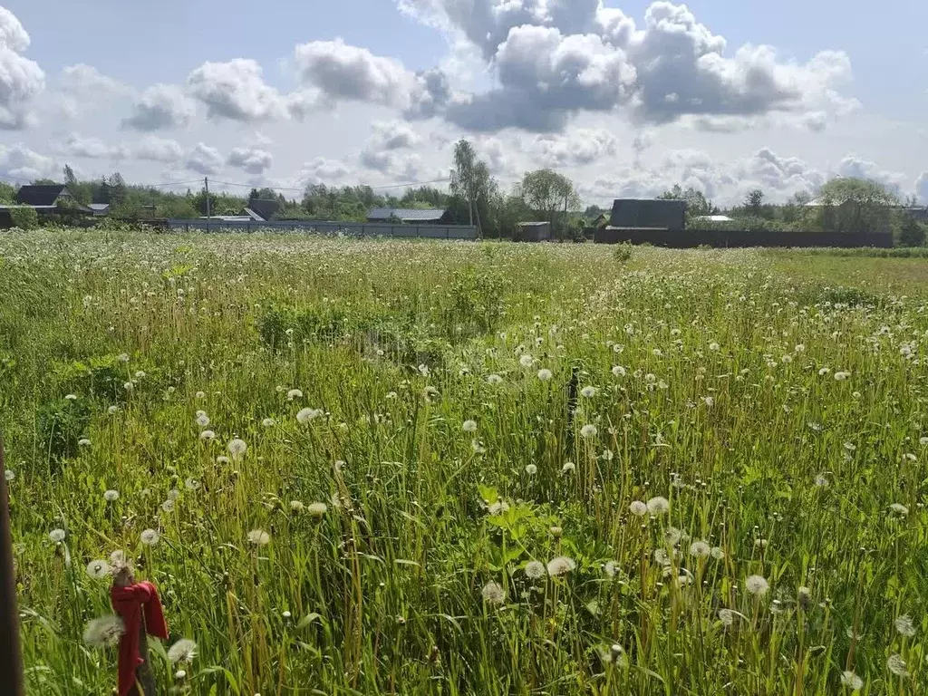 Участок в Ленинградская область, Волосовский район, д. Бегуницы  (10.0 ... - Фото 0