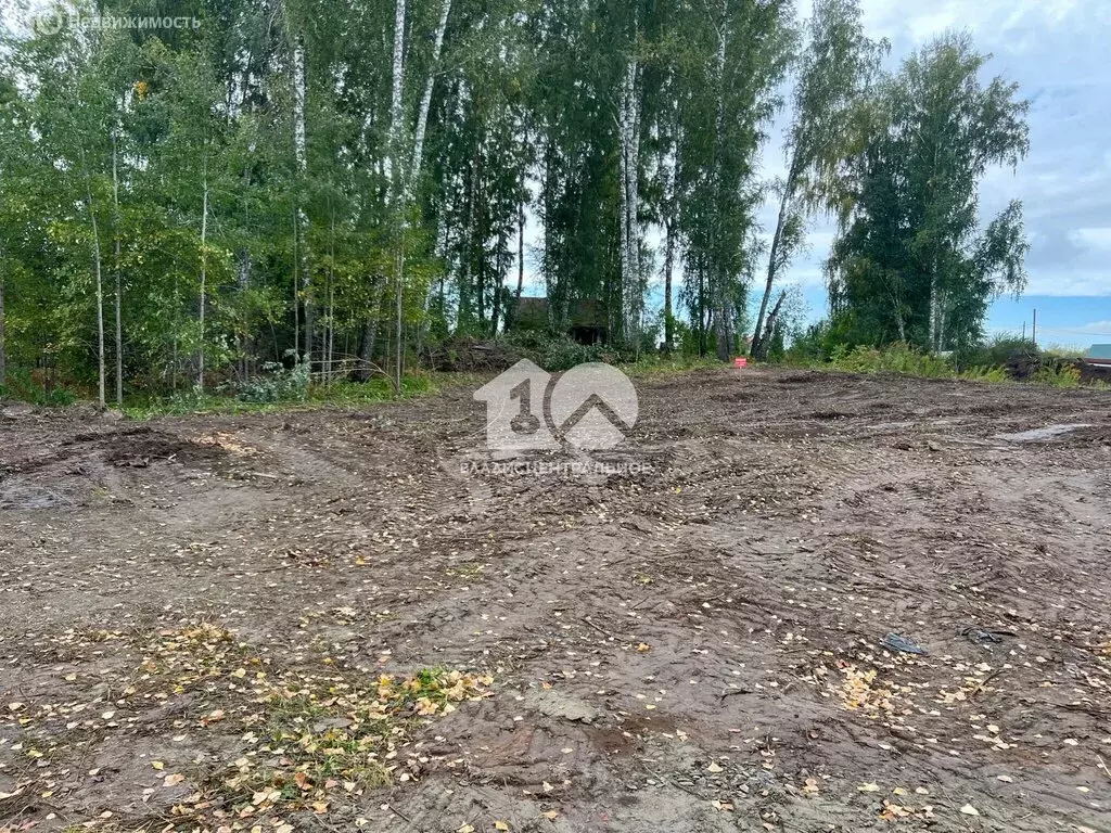 Участок в Барышевский сельсовет, садовое товарищество Генетик, 386 (10 ... - Фото 1