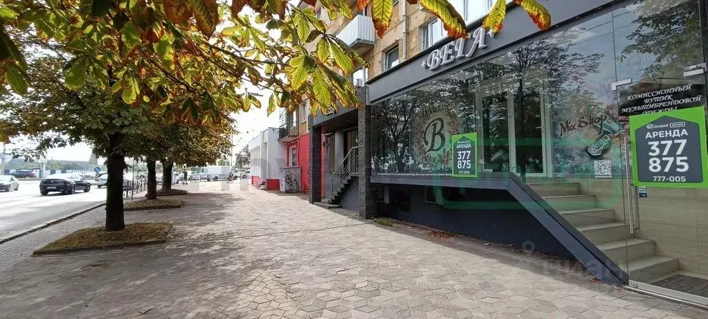 Торговая площадь в Калининградская область, Калининград Пролетарская ... - Фото 1