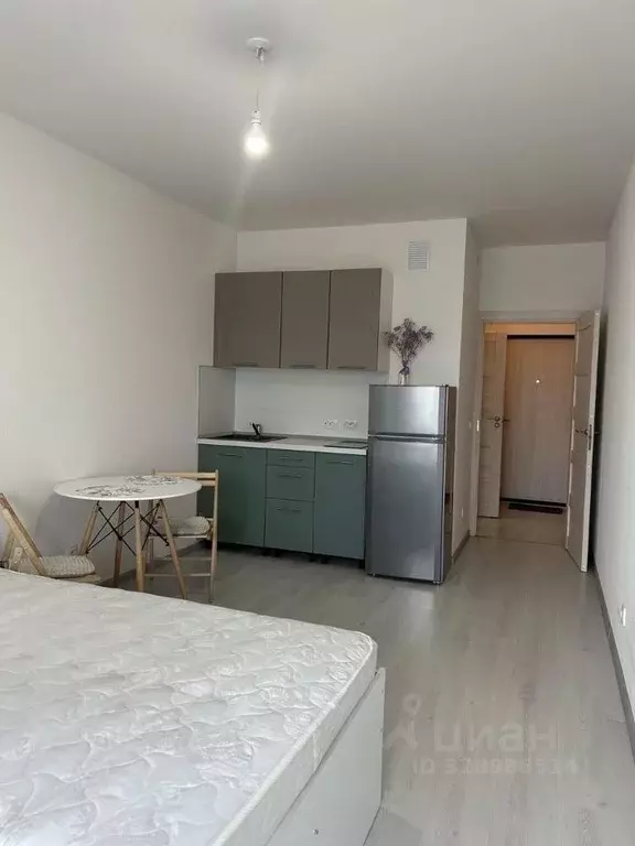 Студия Санкт-Петербург просп. Буденного, 21к1 (24.0 м) - Фото 1