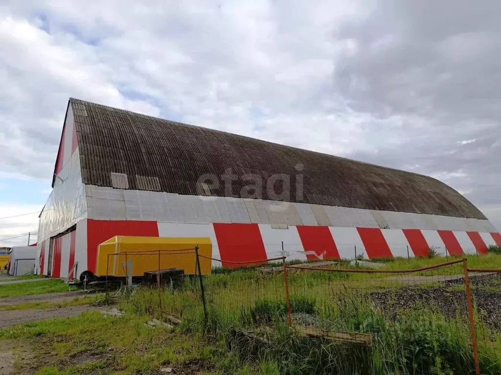 Помещение свободного назначения в Владимирская область, Суздальский ... - Фото 1