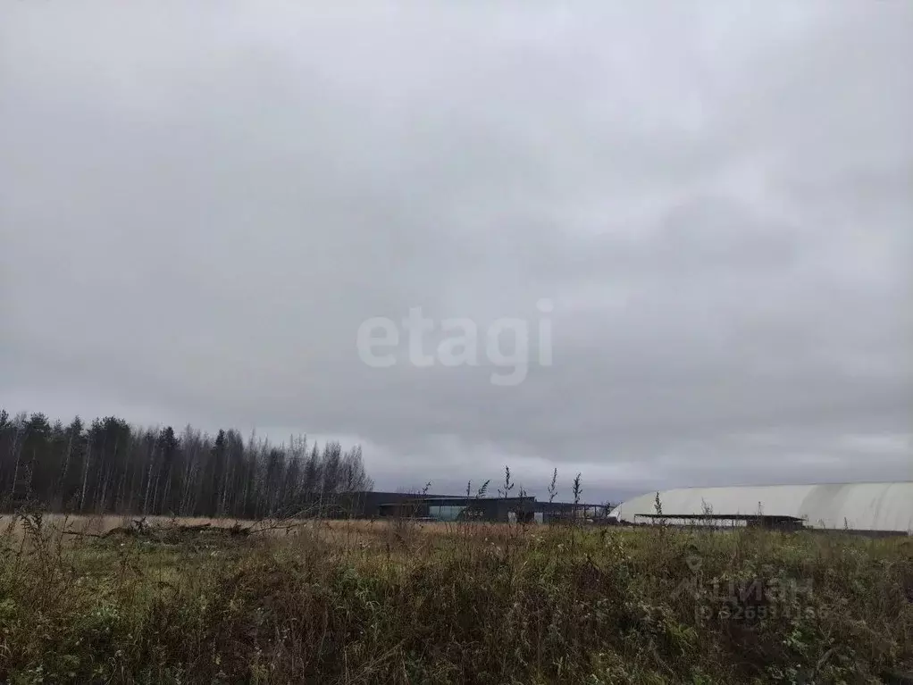 Участок в Ленинградская область, Всеволожский район, Колтушское ... - Фото 1