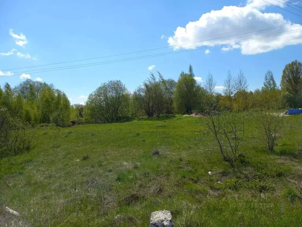 Участок в Псковская область, Псковский район, Логозовская волость, д. ... - Фото 1
