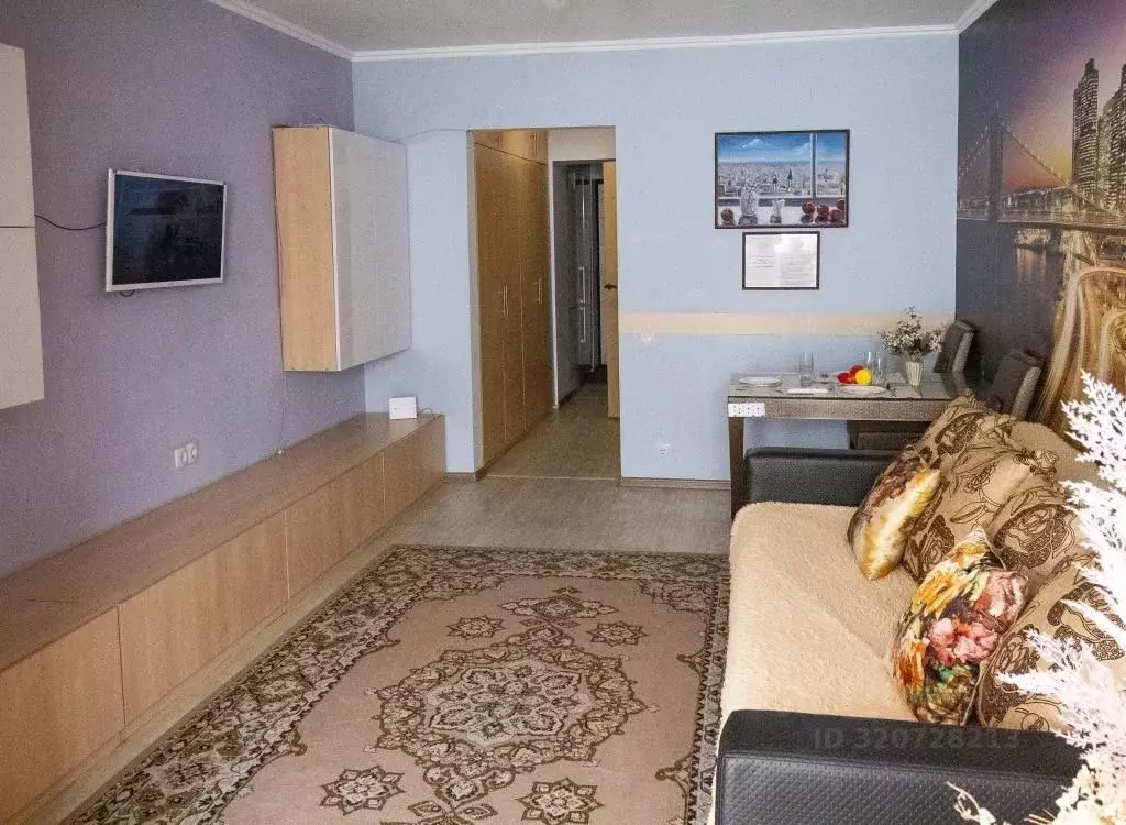 1-к кв. Амурская область, Благовещенск Новая ул., 4 (33.0 м) - Фото 1