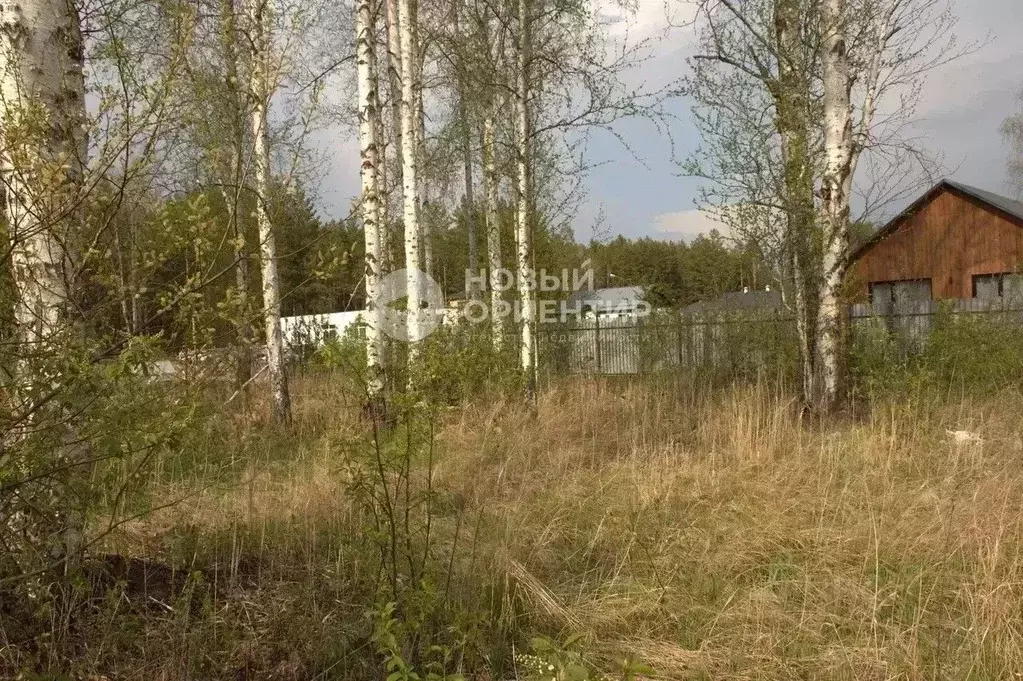 Участок в Свердловская область, Сысертский муниципальный округ, пос. ... - Фото 2