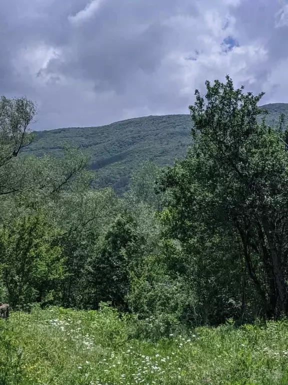 Многоречье Бахчисарайский район