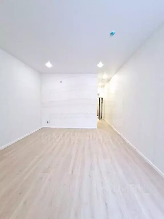 Студия Московская область, Люберцы Октябрьский просп., 403 (36.5 м) - Фото 2