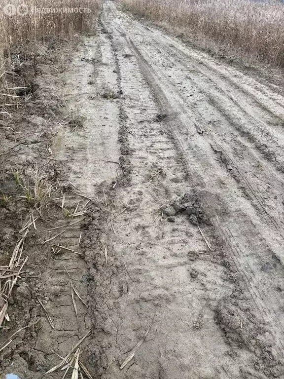 Участок в Тюменская область, Тобольский муниципальный округ, ... - Фото 1