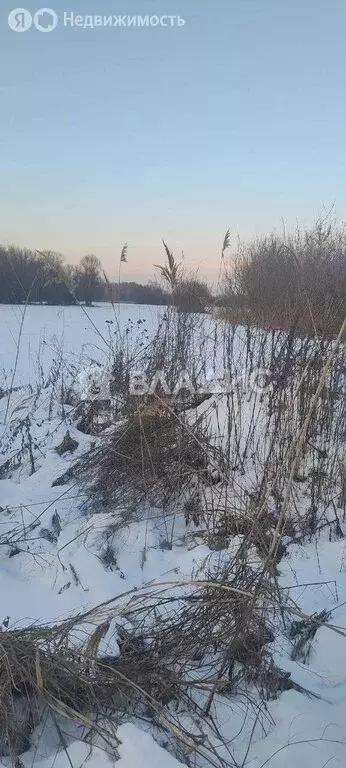 Участок в Новоусманский район, село Рогачёвка (40 м) - Фото 2