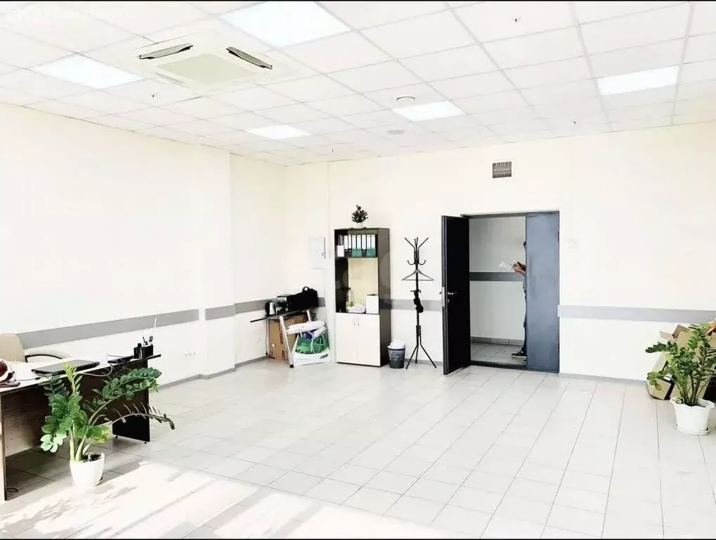 Офис (55.5 м) - Фото 1