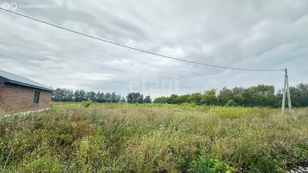 Участок в Толбазы, Рябиновая улица (11.71 м) - Фото 1