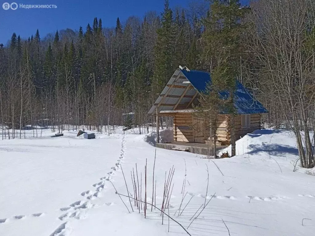 Дом в Турочакский район, село Артыбаш (13.6 м) - Фото 0