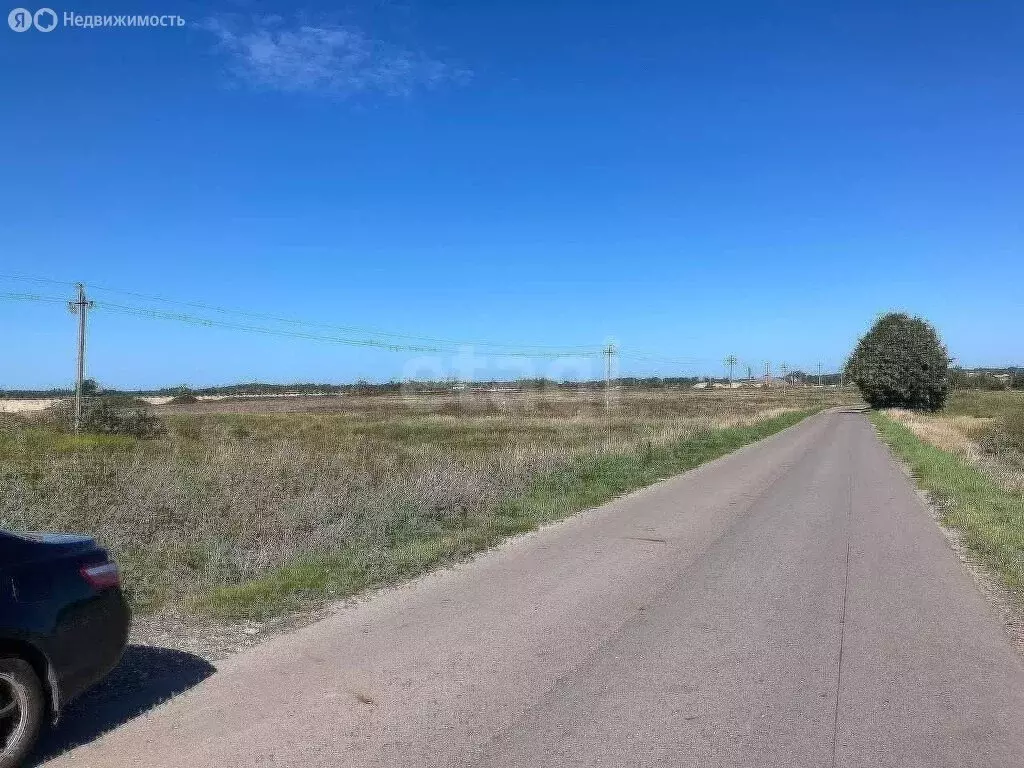 Участок в Калининградская область, Зеленоградский муниципальный округ, ... - Фото 1