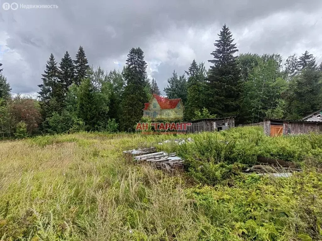 Участок в Красное Пламя, Центральная улица (22 м) - Фото 2