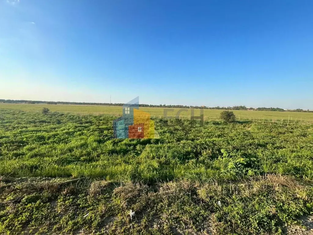 Участок в Тульская область, Новомосковск городской округ, д. Красное ... - Фото 2