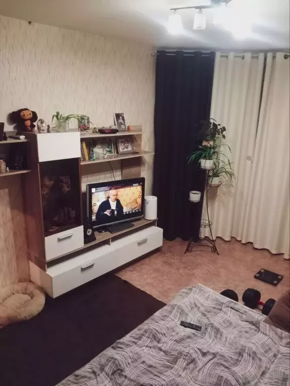 1-к кв. Воронежская область, Воронеж Острогожская ул., 170/12 (37.0 м) - Фото 1