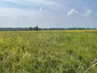 Участок в Свердловская область, Талицкий муниципальный округ, пос. ... - Фото 1