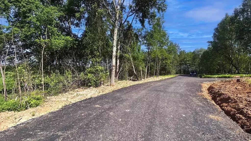 Участок в Московская область, Домодедово городской округ, пос. ... - Фото 2