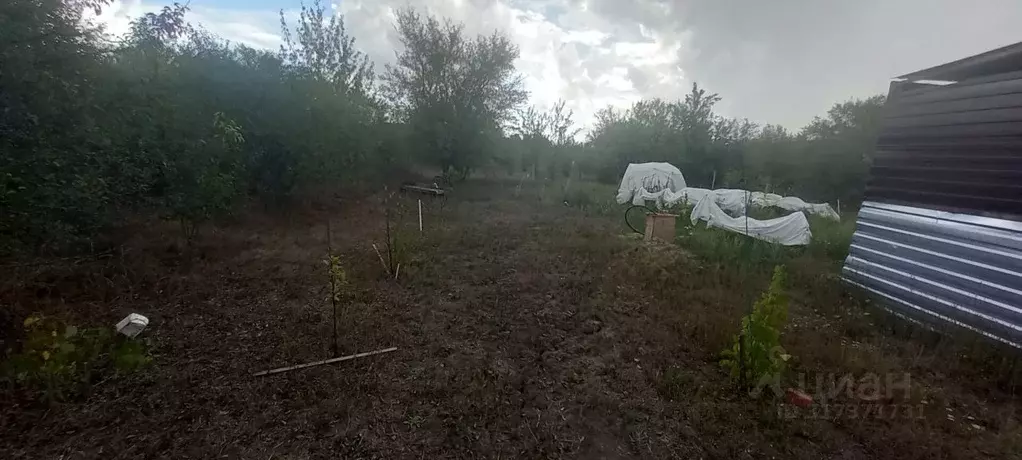 Участок в Краснодарский край, Северское с/пос, Бончковский хут. ул. ... - Фото 1