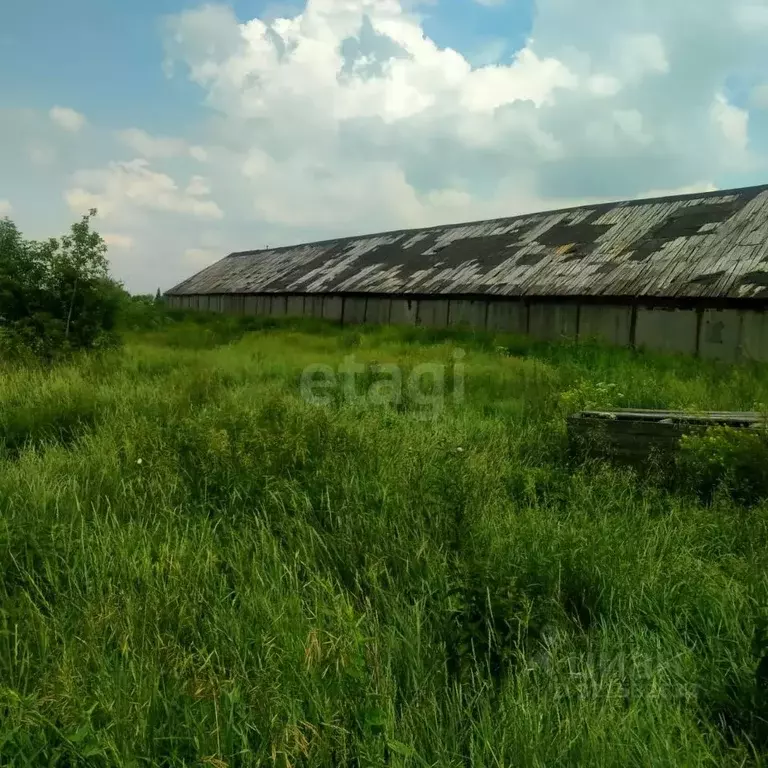 Склад в Новосибирская область, Новосибирский район, с. Толмачево ... - Фото 1