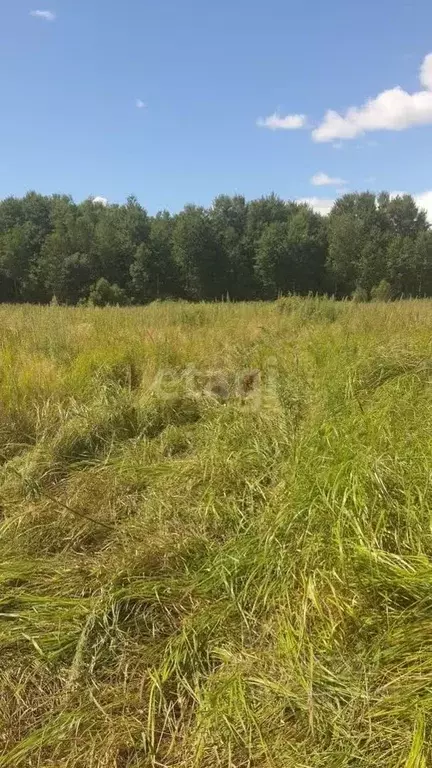 Участок в Хабаровский край, Хабаровский район, с. Гаровка-1  (10.2 ... - Фото 1