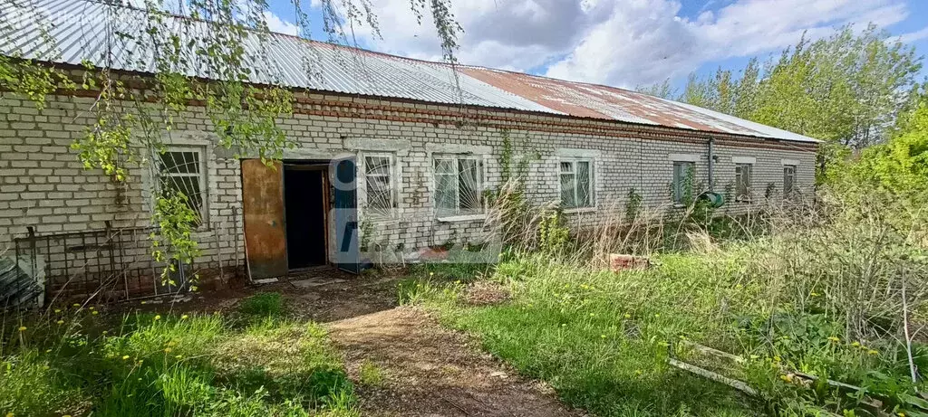 Помещение свободного назначения (351.3 м) - Фото 0
