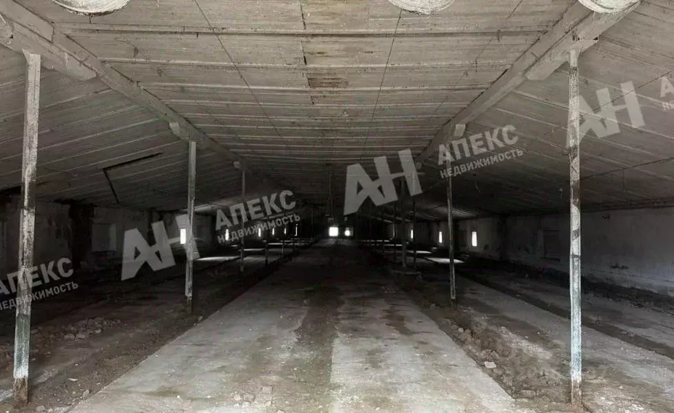 Склад в Московская область, Истра муниципальный округ, пос. Красная ... - Фото 2